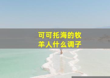 可可托海的牧羊人什么调子