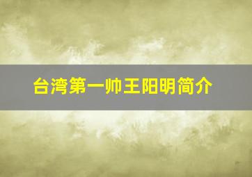 台湾第一帅王阳明简介