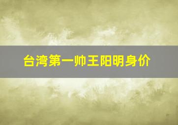 台湾第一帅王阳明身价