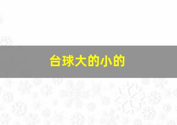 台球大的小的