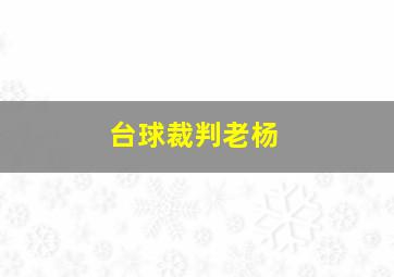 台球裁判老杨