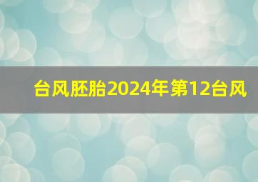 台风胚胎2024年第12台风