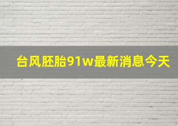 台风胚胎91w最新消息今天