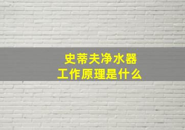 史蒂夫净水器工作原理是什么