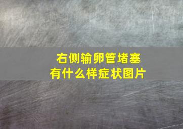 右侧输卵管堵塞有什么样症状图片