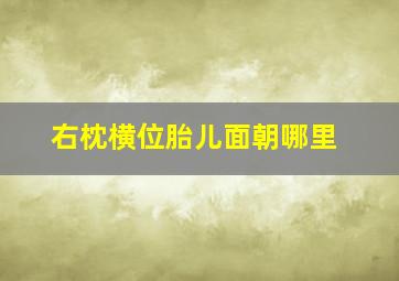 右枕横位胎儿面朝哪里