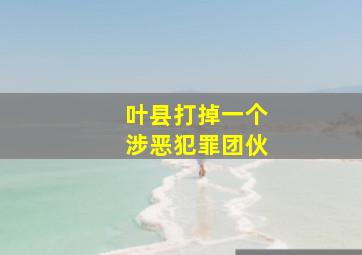 叶县打掉一个涉恶犯罪团伙