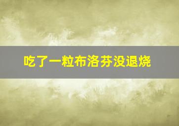 吃了一粒布洛芬没退烧