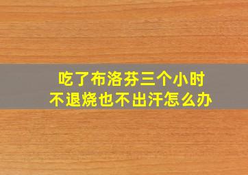 吃了布洛芬三个小时不退烧也不出汗怎么办