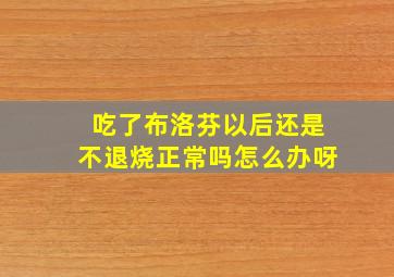 吃了布洛芬以后还是不退烧正常吗怎么办呀