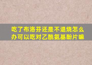 吃了布洛芬还是不退烧怎么办可以吃对乙酰氨基酚片嘛