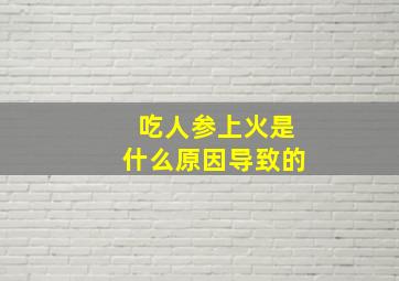 吃人参上火是什么原因导致的