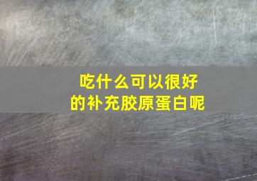 吃什么可以很好的补充胶原蛋白呢