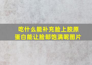 吃什么能补充脸上胶原蛋白能让脸部饱满呢图片