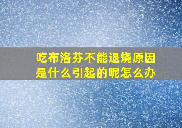 吃布洛芬不能退烧原因是什么引起的呢怎么办