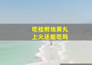 吃桂附地黄丸上火还能吃吗