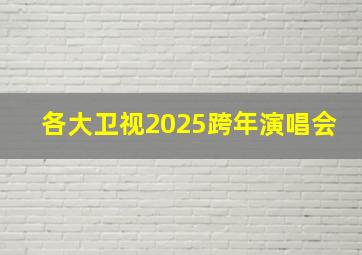 各大卫视2025跨年演唱会