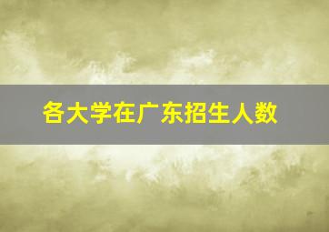 各大学在广东招生人数