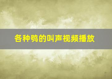 各种鸮的叫声视频播放