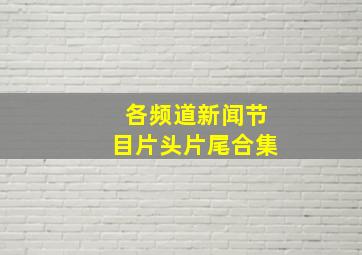 各频道新闻节目片头片尾合集