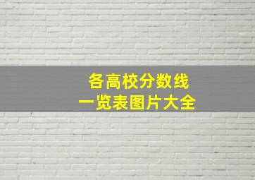 各高校分数线一览表图片大全