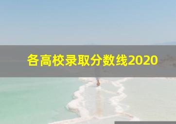 各高校录取分数线2020