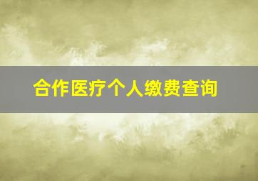 合作医疗个人缴费查询