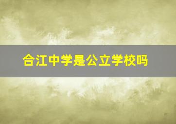 合江中学是公立学校吗