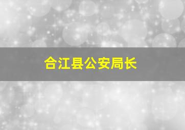 合江县公安局长