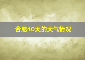 合肥40天的天气情况