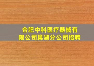 合肥中科医疗器械有限公司巢湖分公司招聘