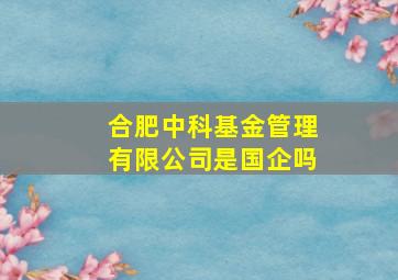 合肥中科基金管理有限公司是国企吗