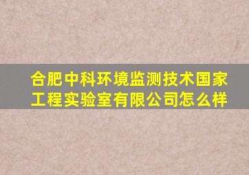 合肥中科环境监测技术国家工程实验室有限公司怎么样