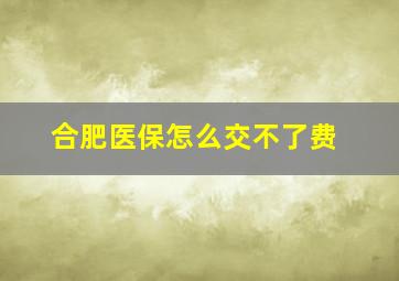 合肥医保怎么交不了费