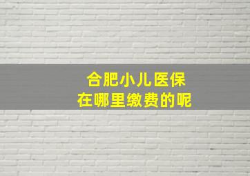 合肥小儿医保在哪里缴费的呢