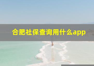 合肥社保查询用什么app