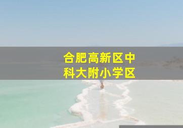 合肥高新区中科大附小学区