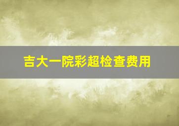 吉大一院彩超检查费用