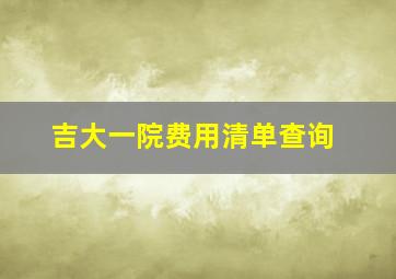 吉大一院费用清单查询