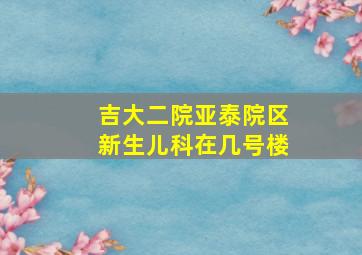 吉大二院亚泰院区新生儿科在几号楼