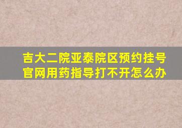 吉大二院亚泰院区预约挂号官网用药指导打不开怎么办