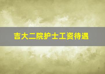 吉大二院护士工资待遇