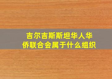 吉尔吉斯斯坦华人华侨联合会属于什么组织