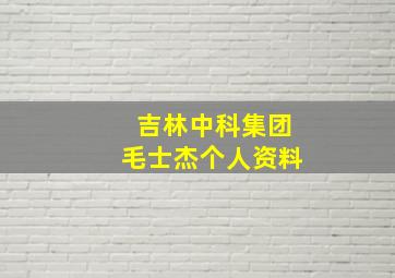 吉林中科集团毛士杰个人资料