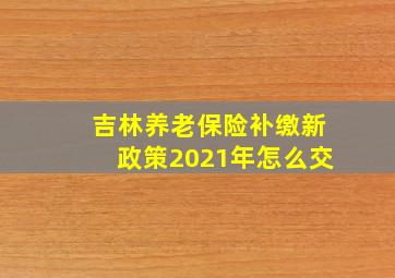 吉林养老保险补缴新政策2021年怎么交