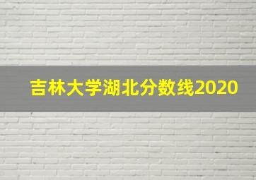 吉林大学湖北分数线2020