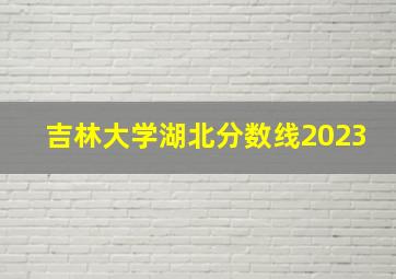 吉林大学湖北分数线2023