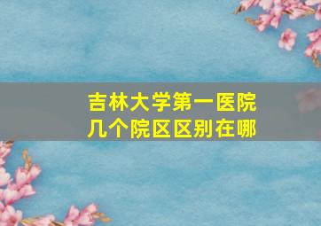 吉林大学第一医院几个院区区别在哪