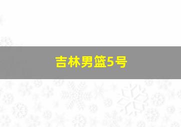 吉林男篮5号