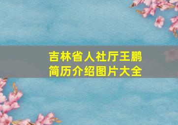 吉林省人社厅王鹏简历介绍图片大全